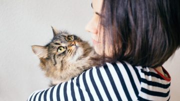Meu pet vai passar por cirurgia Saiba como se preparar