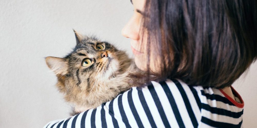 Meu pet vai passar por cirurgia Saiba como se preparar