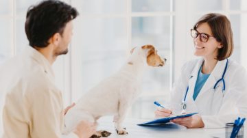 Endoscopia veterinária quando é indicada