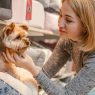 Mudanças no Comportamento do Pet: Quando se Preocupar?