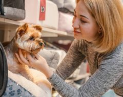 Mudanças no Comportamento do Pet: Quando se Preocupar?