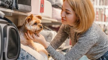 Mudanças no Comportamento do Pet: Quando se Preocupar?