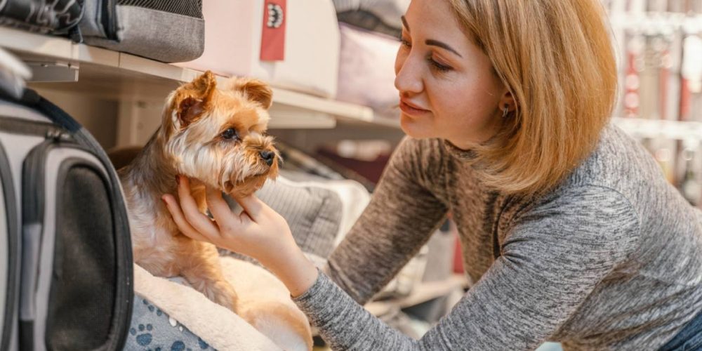 Mudanças no Comportamento do Pet: Quando se Preocupar?